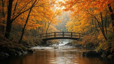 N叉树的前序遍历